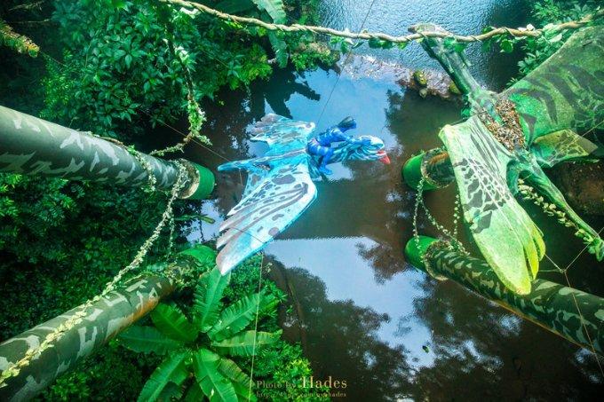 蓉企成功驯化野生羊肚菌 2万亩地产出4亿元