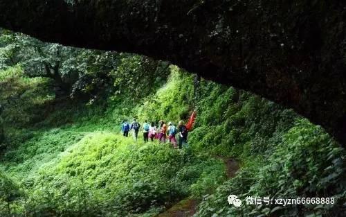 港股异动 | 海天国际连续2日反弹 北水加仓+股东增持