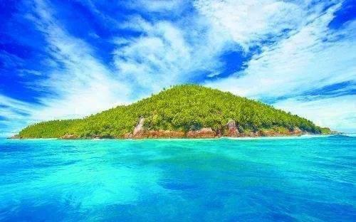 五彩鹦鹉救援